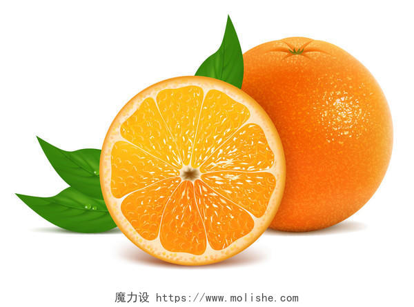 新鲜橘子矢量插画